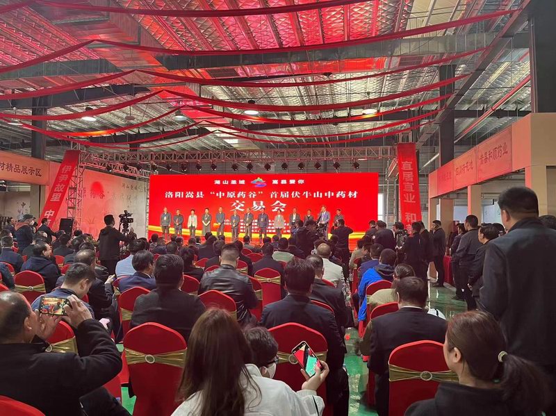 1681811465596981.jpg 1681811465596981.jpg